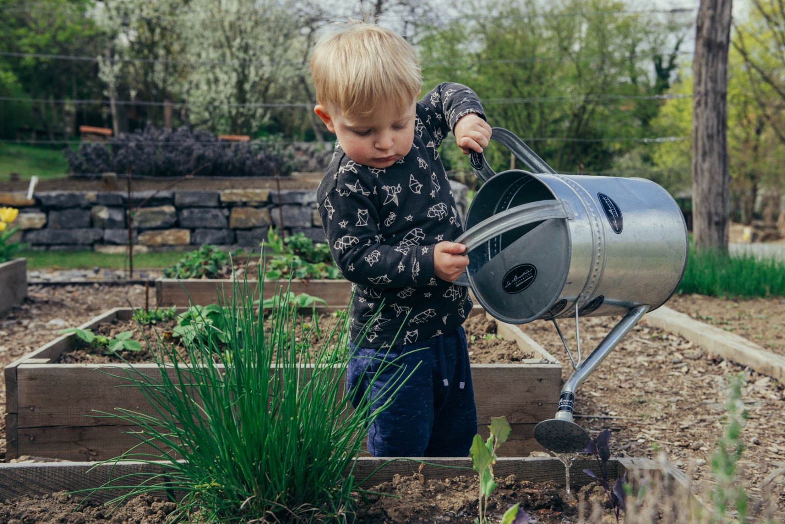 Gardening Tips